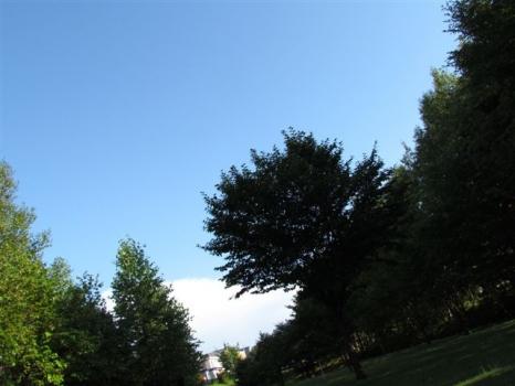 8月20日