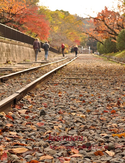 27京都DSC_0766