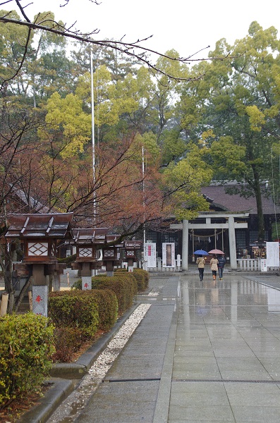 IMGP4599②