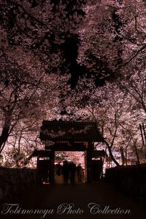 20130413-CQ3D5307-31.jpg