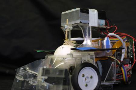 silkworm_car.jpg