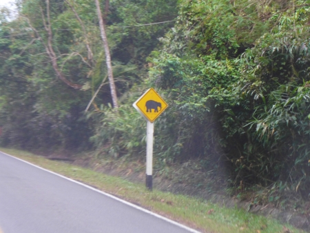 Khao Yai Camp (5)