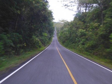 Khao Yai Camp (8)