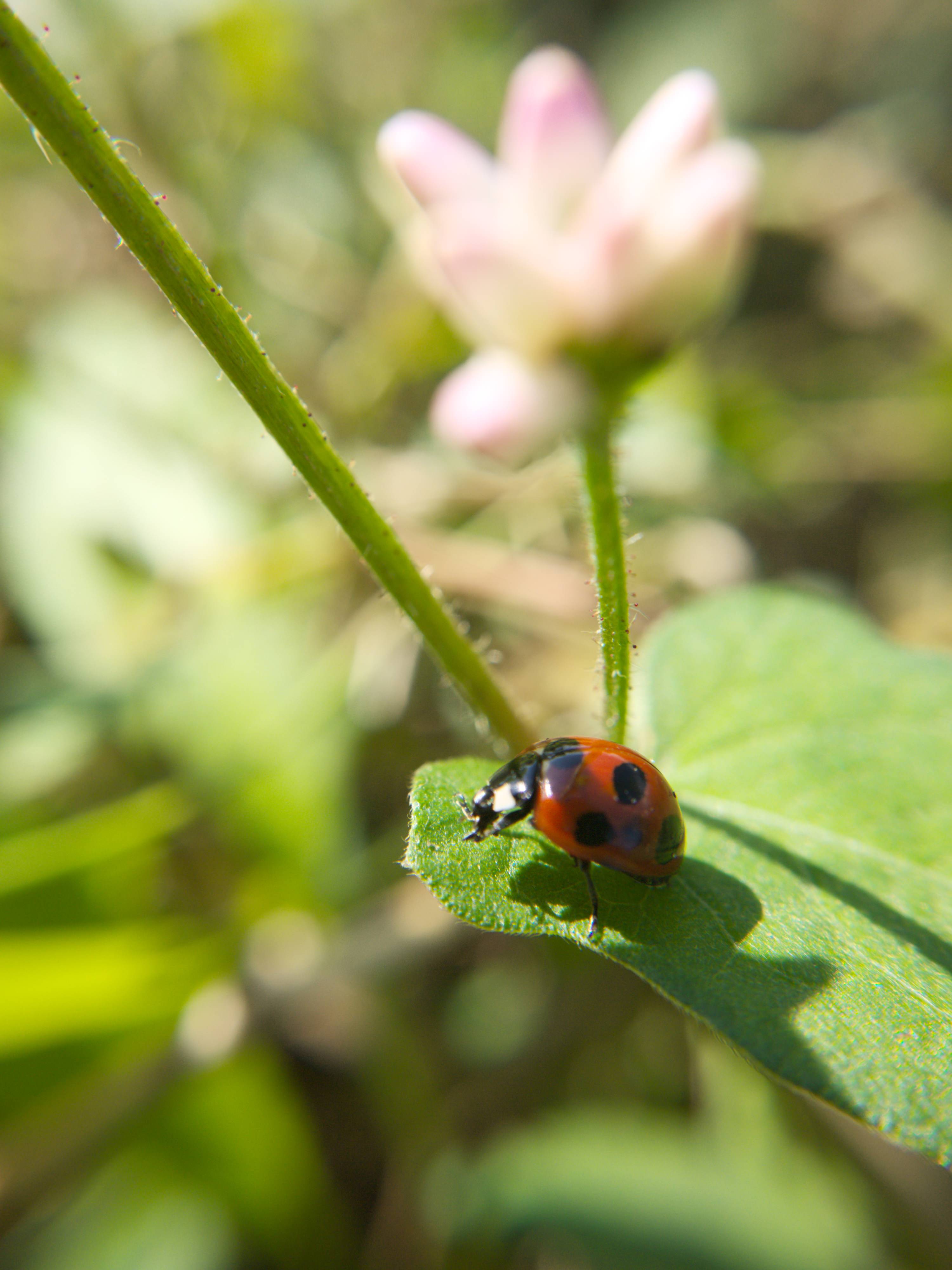 P1140385_mini.jpg