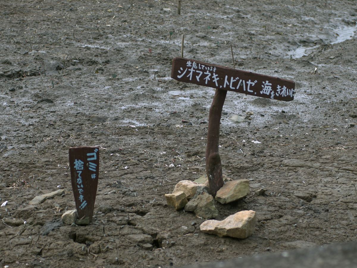 img1120031.jpg