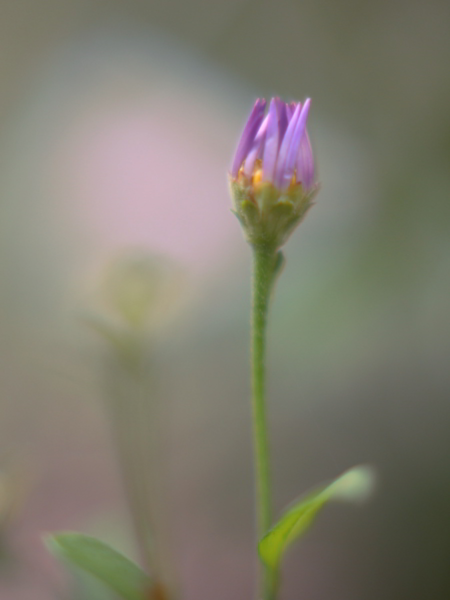 img1120354.jpg