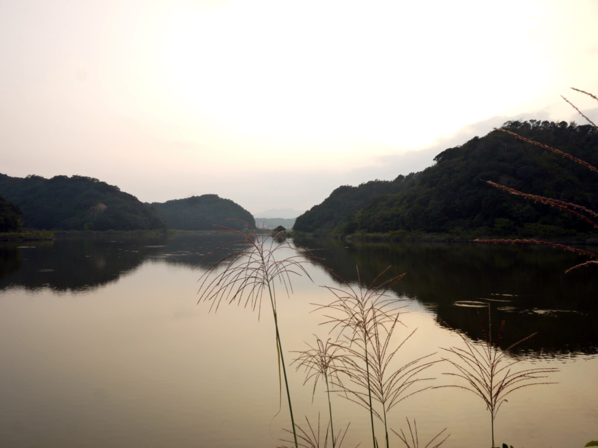 img1130266.jpg
