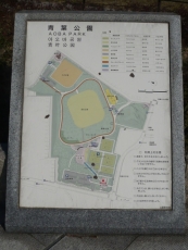 青葉(公園)来ちゃいました!