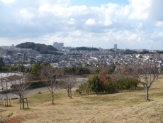 公園のてっぺんから