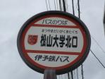 近づいてみよう