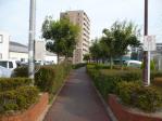勝田線跡地を利用した歩道