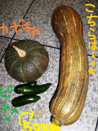 お野菜