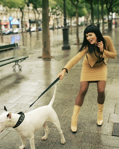 犬の散歩2image