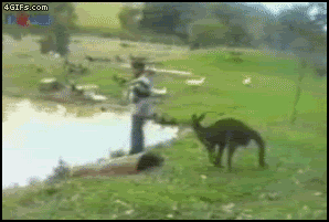 笑える一蹴りなimage