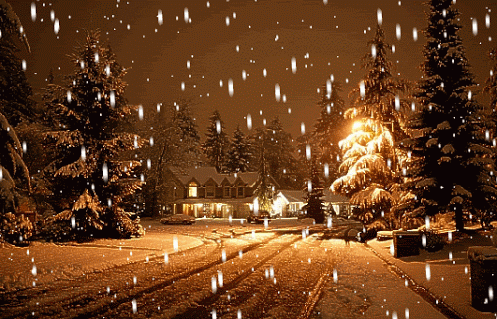 冬の夜景とちらつく雪のimage