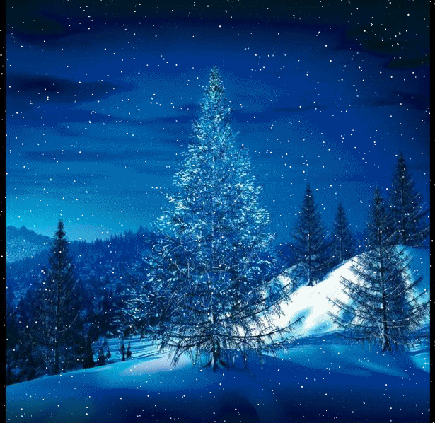 ブルークリスマスツリーimage