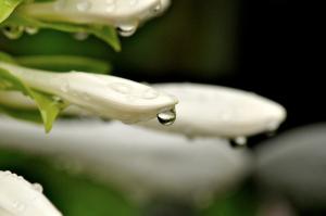 DSC_9731_HP版