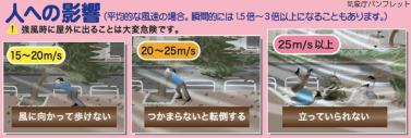 wind1.jpg