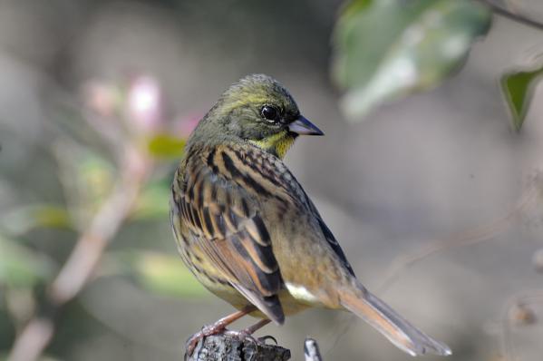 DSC_7770.jpg