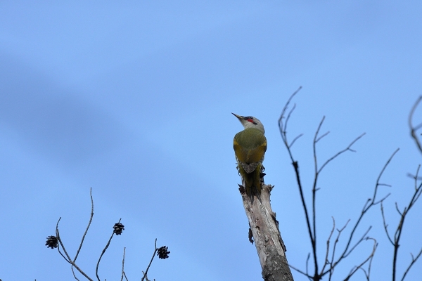 DSC_8646.jpg