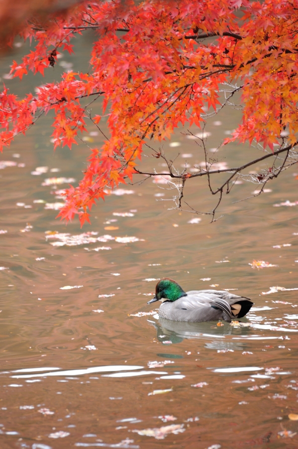 S15_7745.jpg