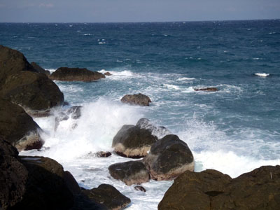 P3101449.jpg