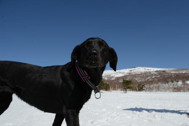 130316-14.jpg