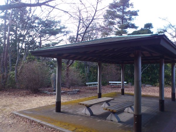 20140203b0016.jpg