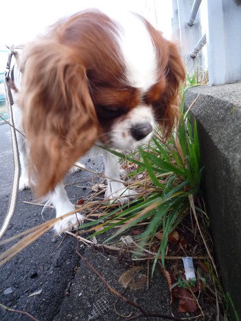 LGwbx_20111203190812.jpg