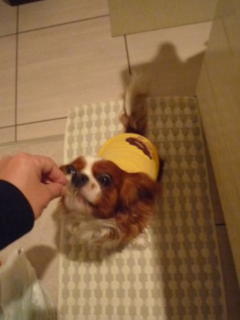 N8ji3_20111118215809.jpg