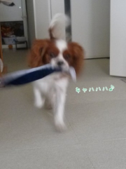 UMh6t.jpg