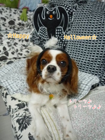 cTUKv.jpg