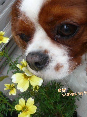 hmDtG_20111023114209.jpg
