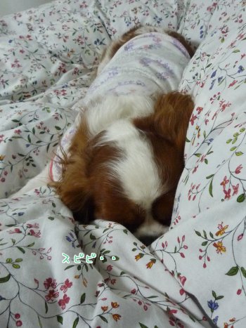 w8Qxx_20111110225128.jpg