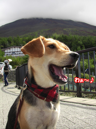 わあ