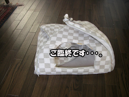ご臨終です