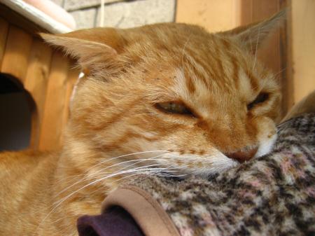 IMG_4728_convert_20120323180856.jpg