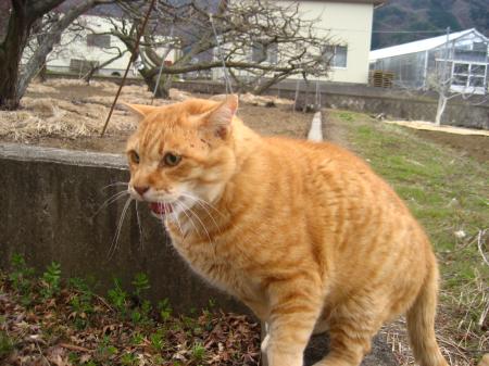 IMG_4952_convert_20120326222913.jpg