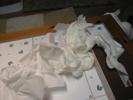 IMG_5483_convert_20120415174425.jpg