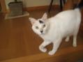 IMG_6031_convert_20120425210835.jpg