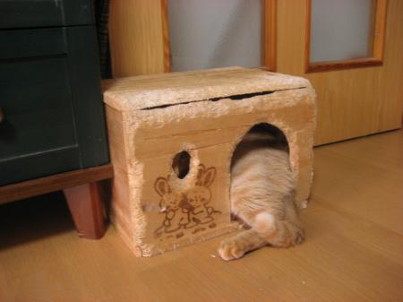IMG_6291_convert_20120504173430.jpg