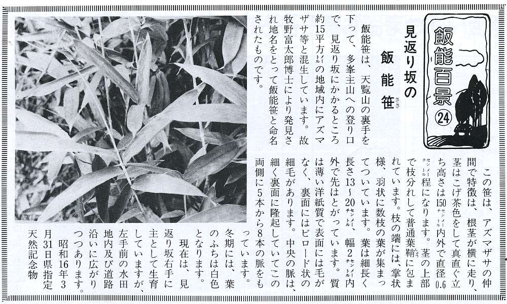 13050501.jpg