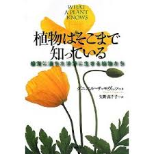 13050504.jpg
