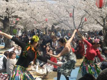 OHANAMI 004