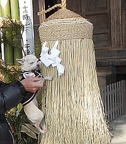 見付天神3