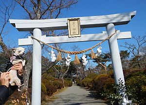 霊犬神社1