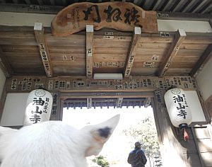 油山寺1