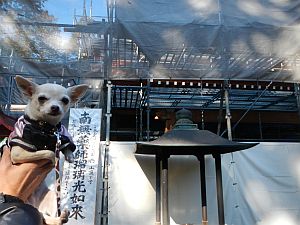 油山寺2