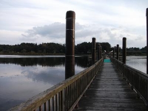 140925芦野夢の浮橋