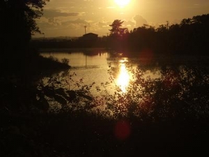 140925夕陽を浴びる